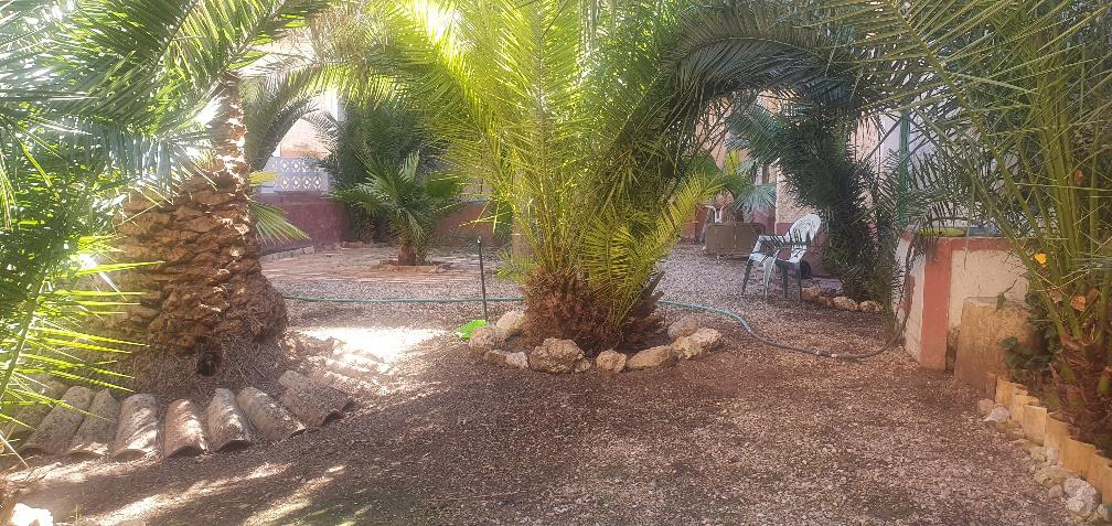 Imagen 16 Casa Adosada en venta en Hellín / Entre Mercado de Abastos y 4 caminos