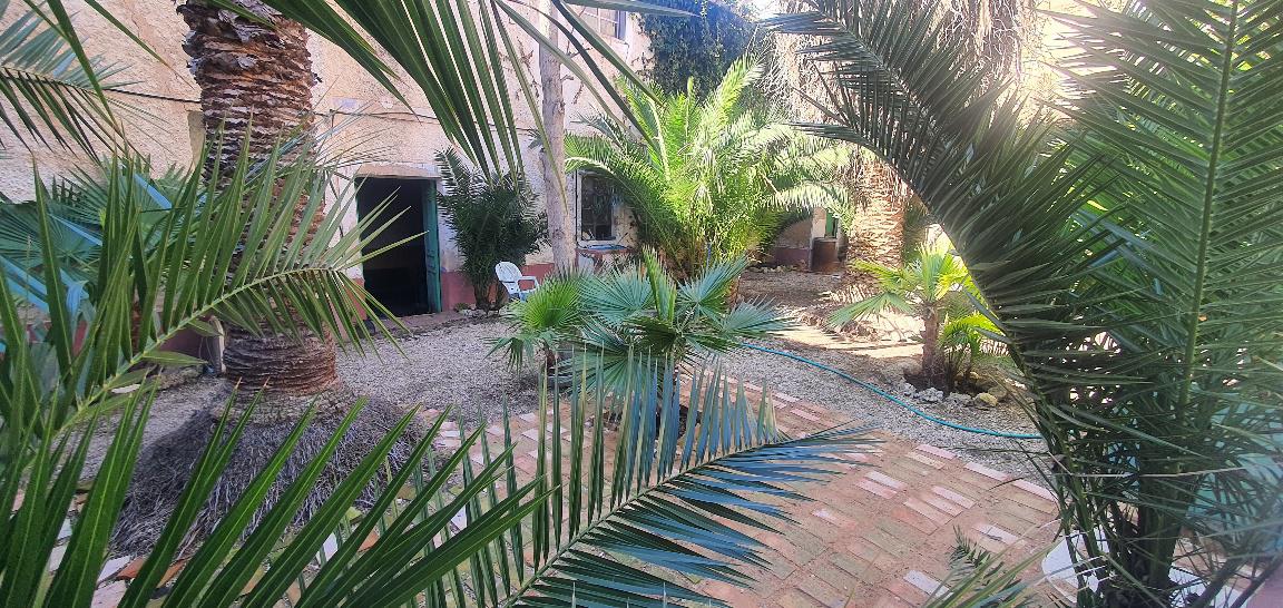 Imagen 4 Casa Adosada en venta en Hellín / Entre Mercado de Abastos y 4 caminos