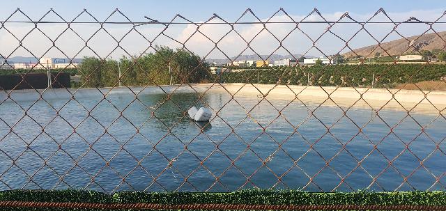 Imagen 19 Inmueble 296316 - Casa Aislada en venta en Cieza / Paraje del Tamarit