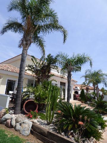 Imagen 56 Inmueble 295694 - Casa Aislada en venta en Mont-roig Del Camp / Casa Independiente en Mont Roig del Camp