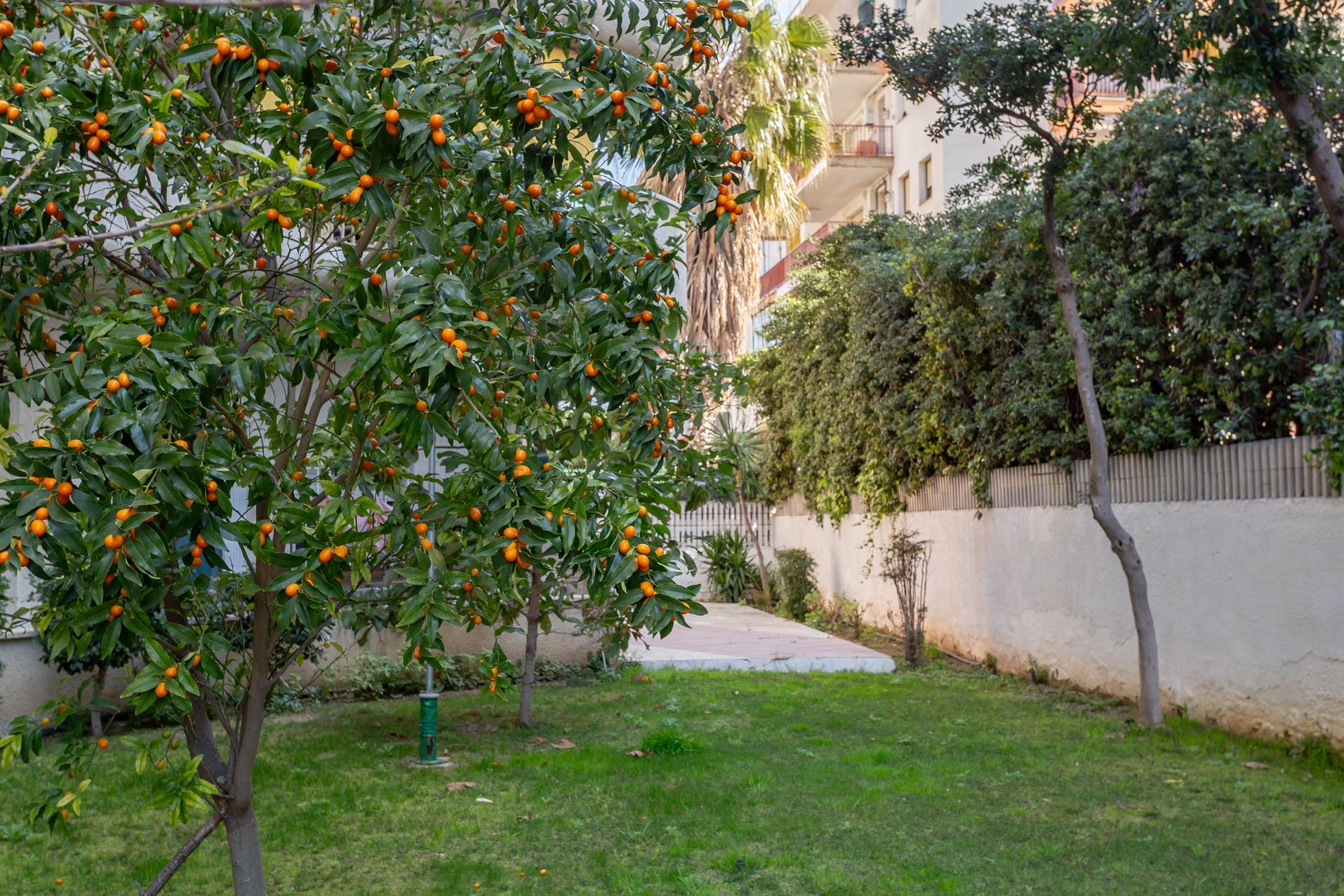 Imagen 25 Apto. Playa en venta en Salou / Piso de 2 habitaciones en venta en calle Priorat, Salou