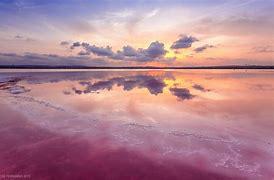 Imagen 15 Apto. Playa en venta en Torrevieja / Junto a la Playa y las Salinas en La Mata, Torrevieja