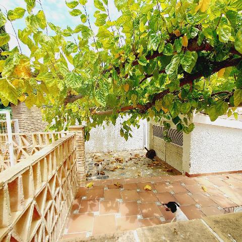 Imagen 95 Inmueble 286407 - Casa Aislada en venta en Orihuela / En cabo Roig-Orihuela, Junto al puerto deportivo.