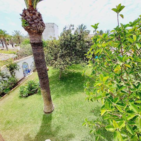 Imagen 87 Inmueble 286407 - Casa Aislada en venta en Orihuela / En cabo Roig-Orihuela, Junto al puerto deportivo.