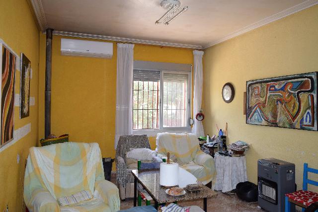 Imagen 25 Inmueble 282144 - Casa Aislada en venta en Elche/elx / Finca rústica con gran parcela cerca del club de tenis