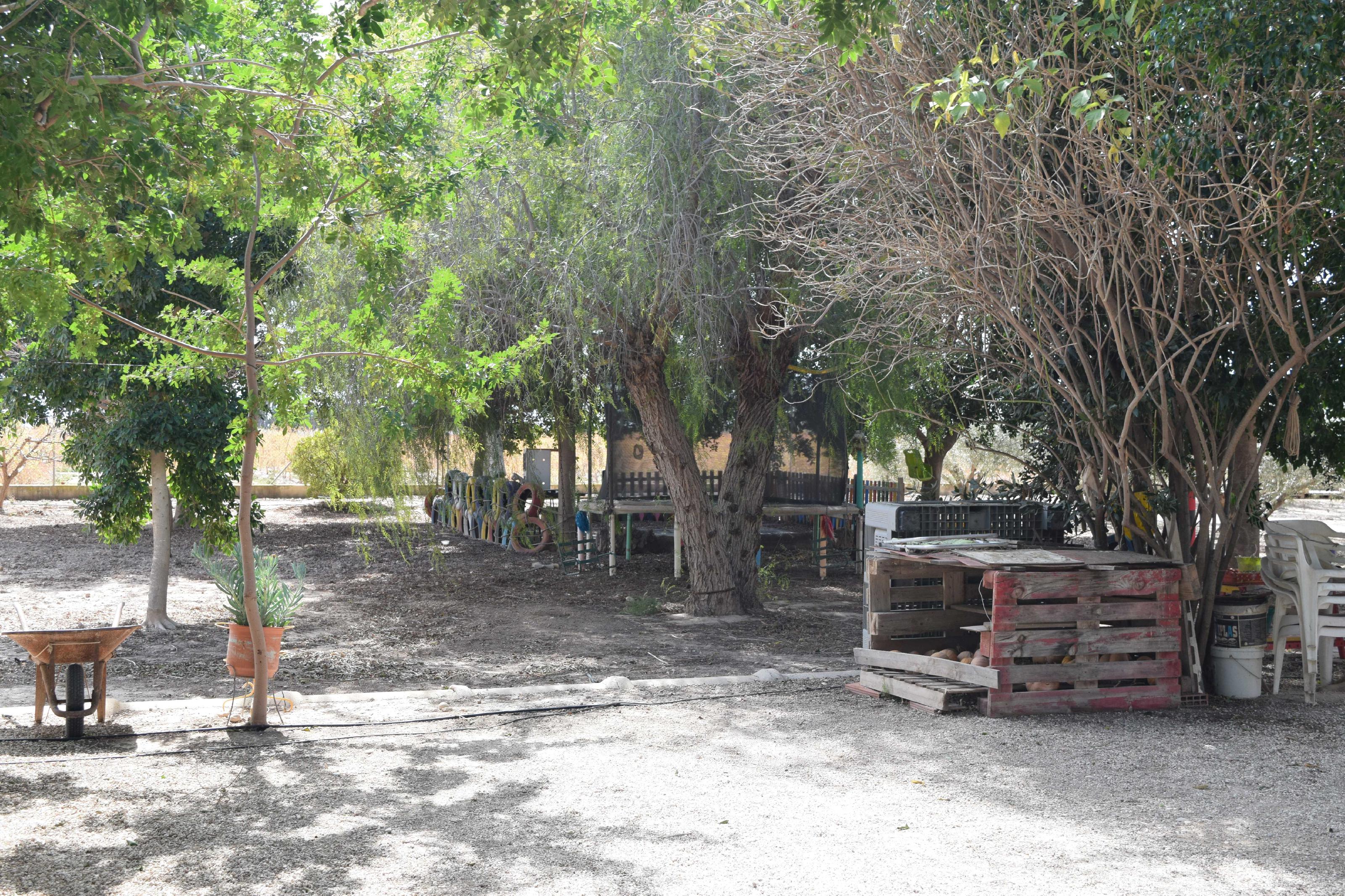 Imagen 5 Casa Aislada en venta en Elche/elx / Finca rústica con gran parcela cerca del club de tenis