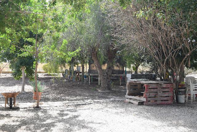 Imagen 5 Inmueble 282144 - Casa Aislada en venta en Elche/elx / Finca rústica con gran parcela cerca del club de tenis