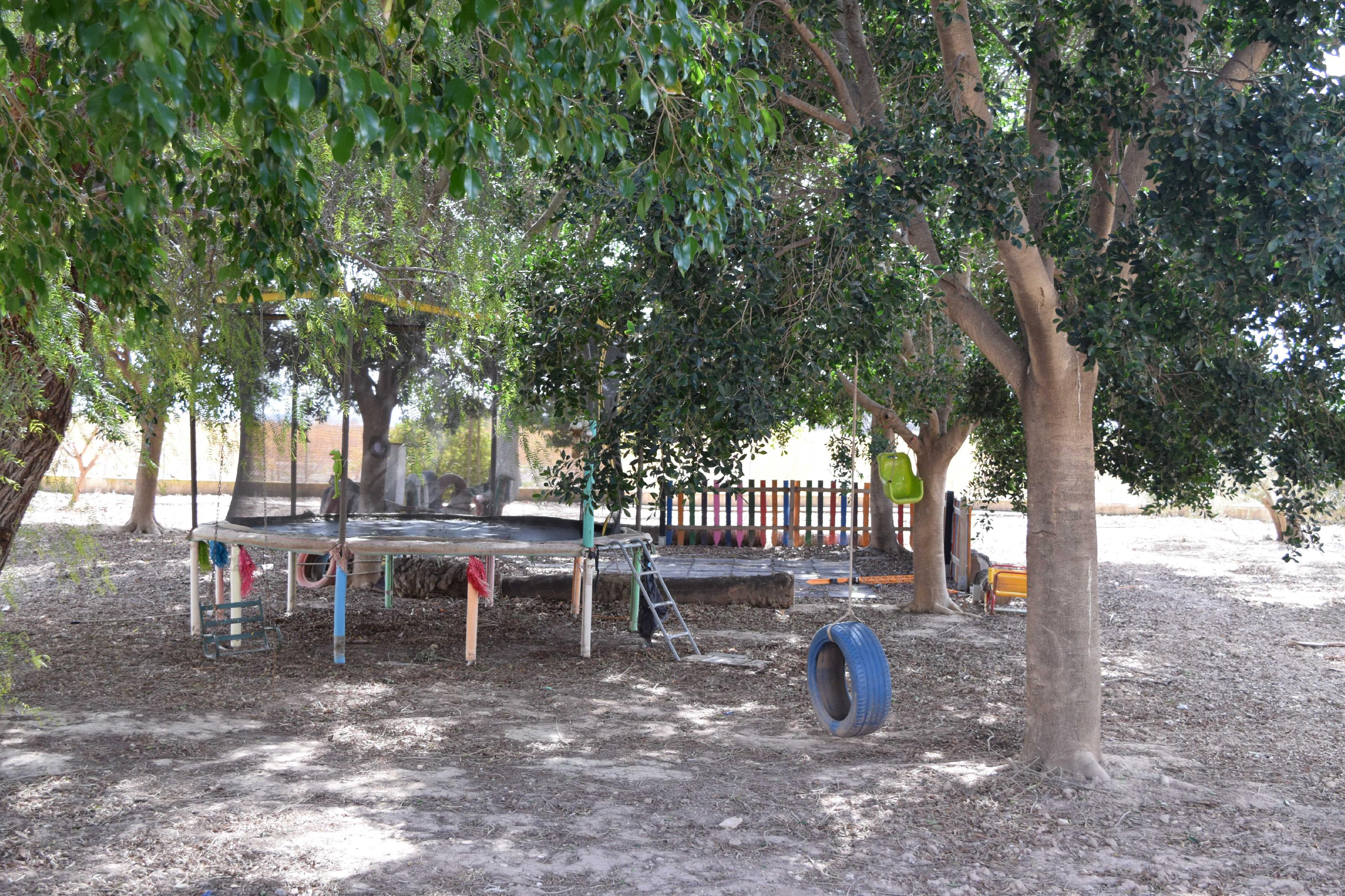 Imagen 6 Casa Aislada en venta en Elche/elx / Finca rústica con gran parcela cerca del club de tenis