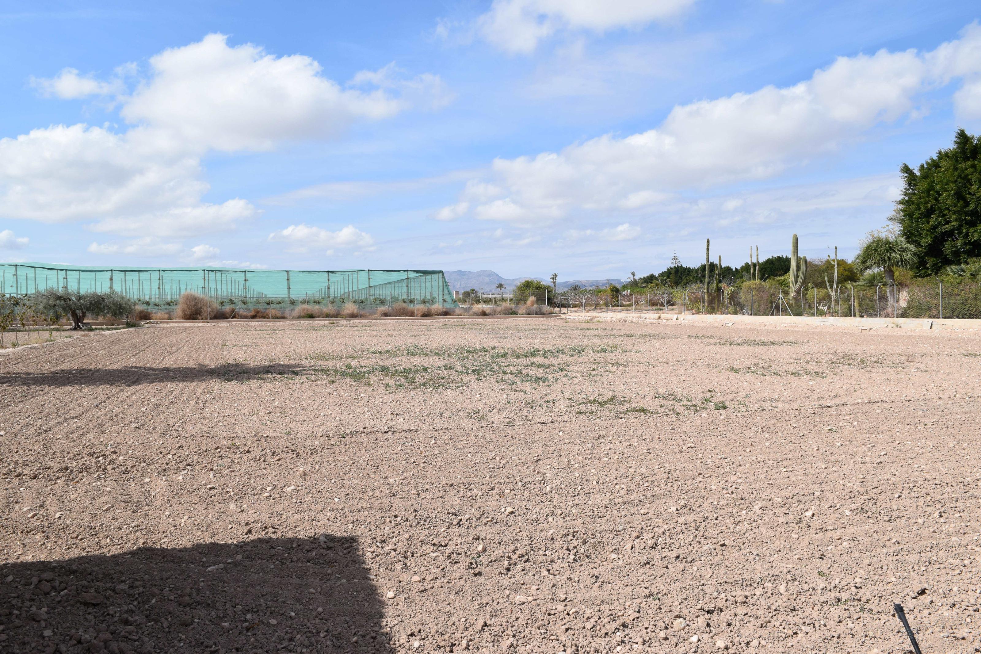 Imagen 15 Casa Aislada en venta en Elche/elx / Finca rústica con gran parcela cerca del club de tenis