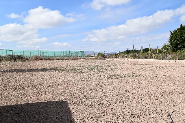 Imagen 15 Inmueble 282144 - Casa Aislada en venta en Elche/elx / Finca rústica con gran parcela cerca del club de tenis