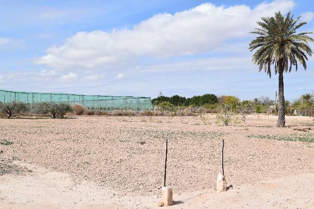 Imagen 13 Inmueble 282144 - Casa Aislada en venta en Elche/elx / Finca rústica con gran parcela cerca del club de tenis