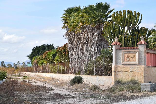 Imagen 2 Inmueble 282144 - Casa Aislada en venta en Elche/elx / Finca rústica con gran parcela cerca del club de tenis