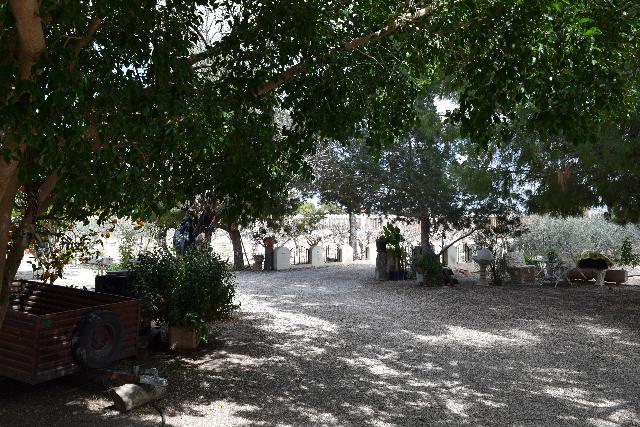 Imagen 4 Inmueble 282144 - Casa Aislada en venta en Elche/elx / Finca rústica con gran parcela cerca del club de tenis