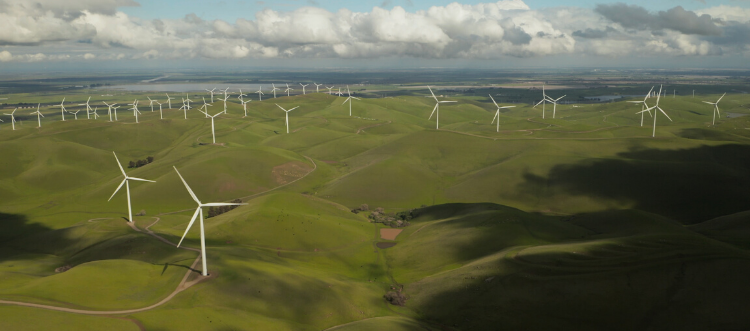 desarrollo-sostenible-donpiso