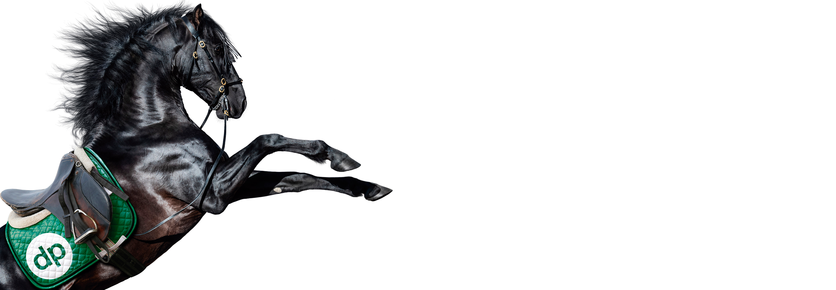 Franquicia Inmobiliaria